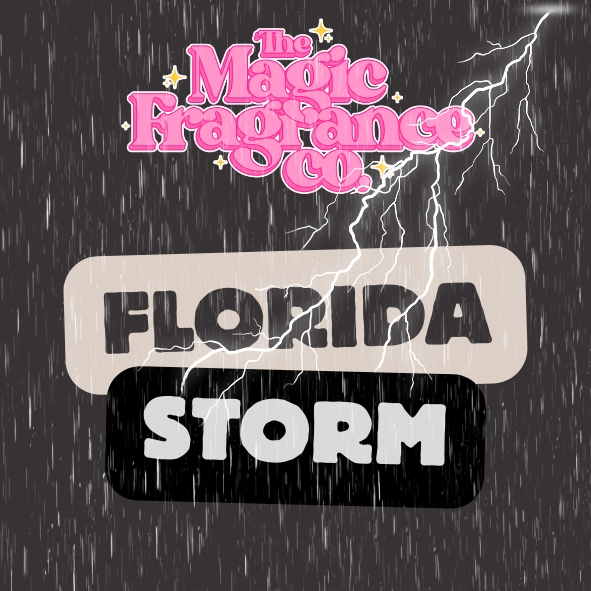 Florida Storm