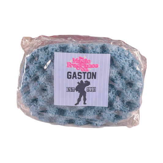 Gaston Soap Sponge