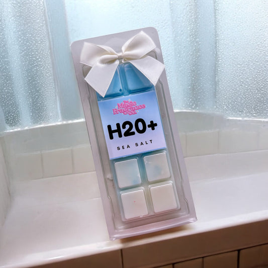 H2O Sea Salt Wax Melt