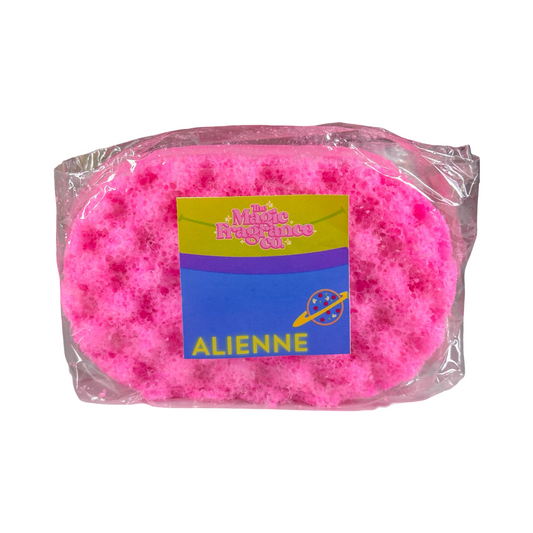 Alienne Soap Sponge