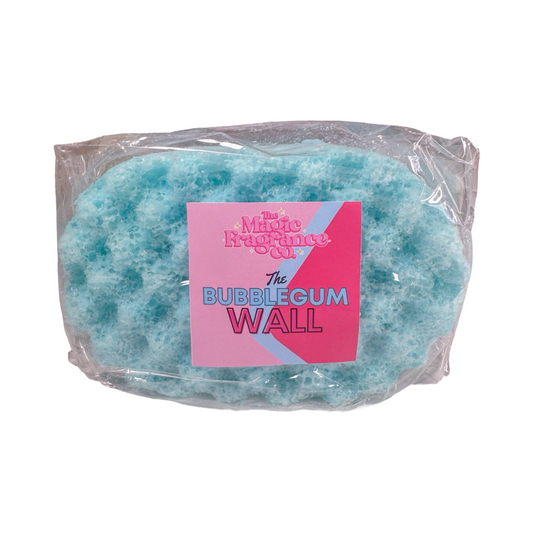 Bubblegum Wall Soap Sponge